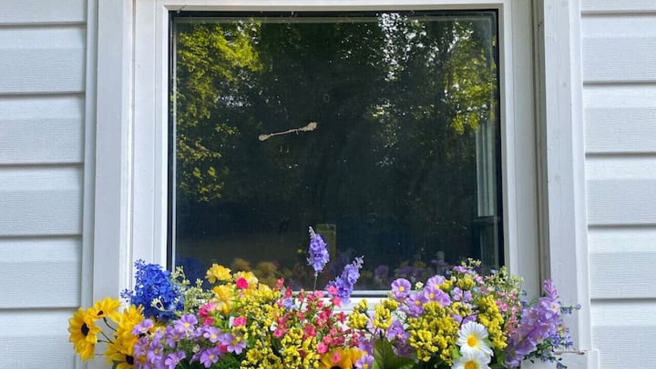 Photo of Outdoor in Tiny