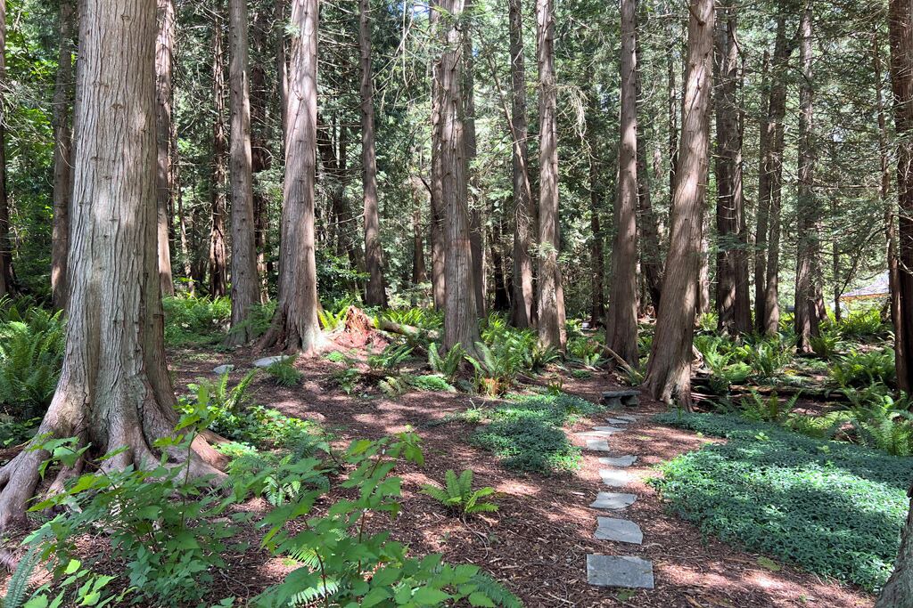 Photo of Outdoor in Roberts Creek