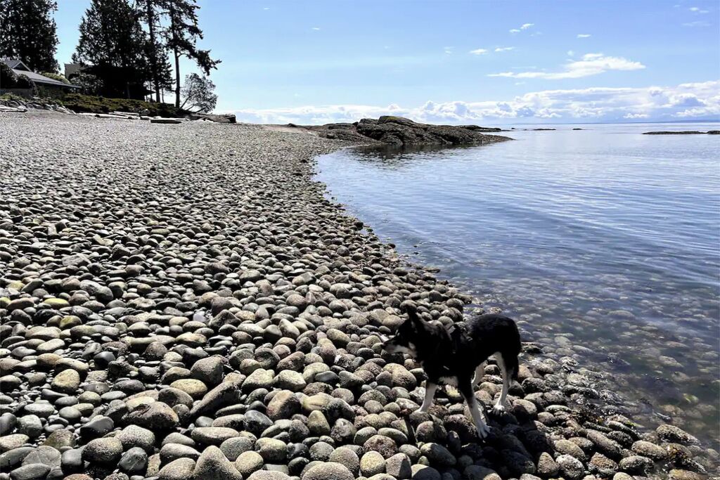Photo of Others in Roberts Creek