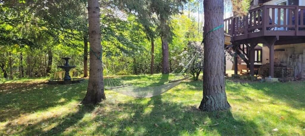 Photo of Outdoor in Collingwood