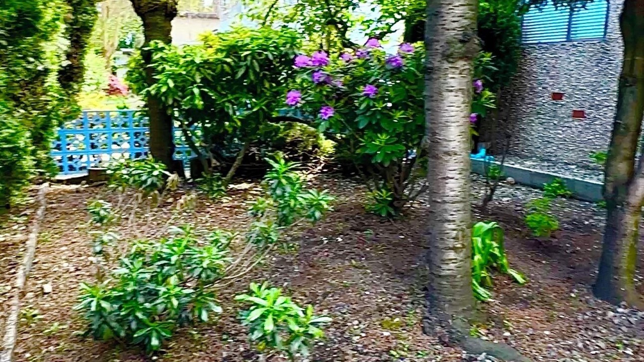 Photo of Outdoor in Vancouver South
