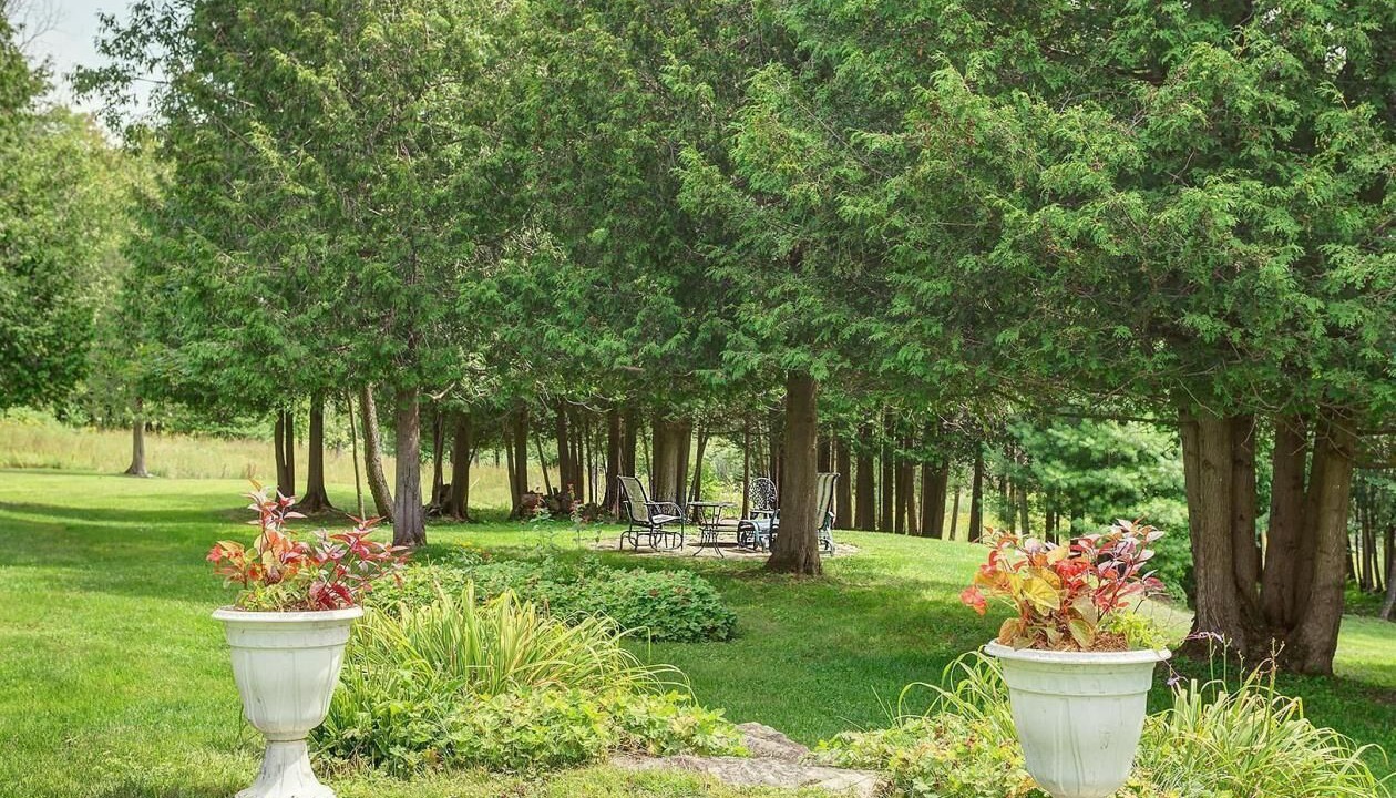 Photo of Outdoor in Sutton