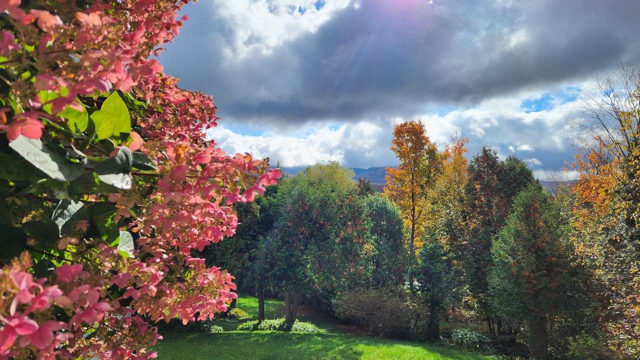 Photo of Outdoor in Sutton