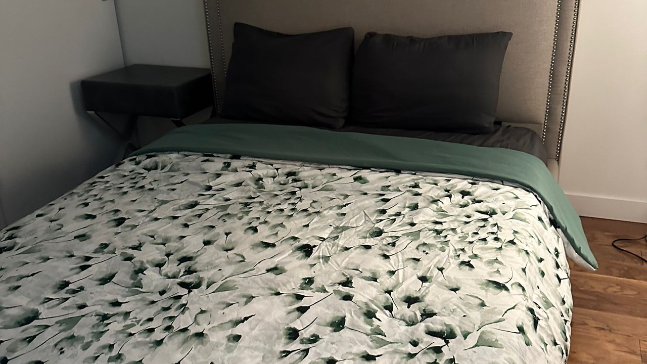 Photo of Bedroom in Downtown Winnipeg
