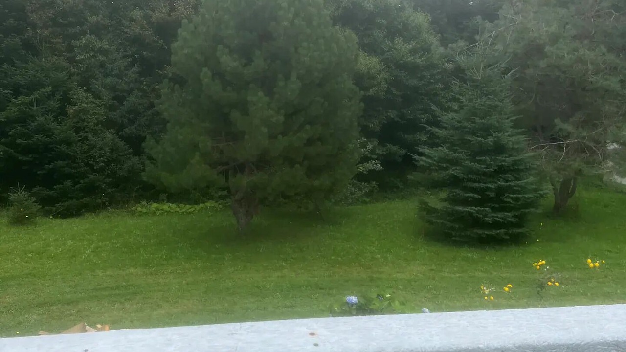 Photo of Outdoor in Kippens