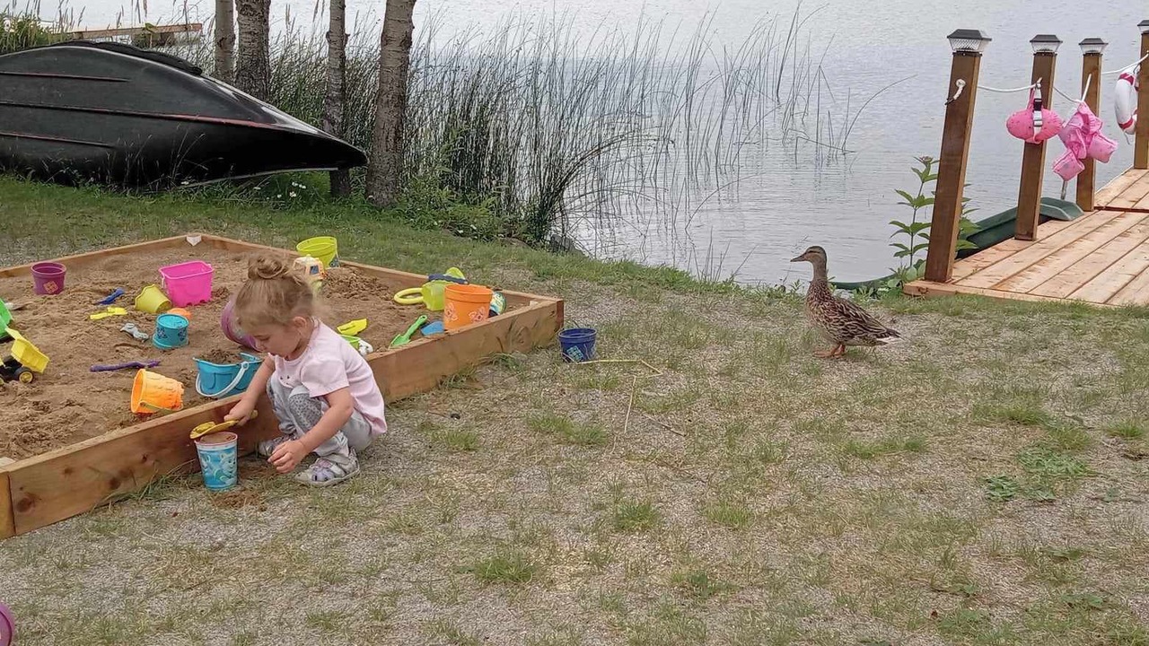 Photo of Outdoor in Lac-Saint-Jean-Est Regional County Municipality
