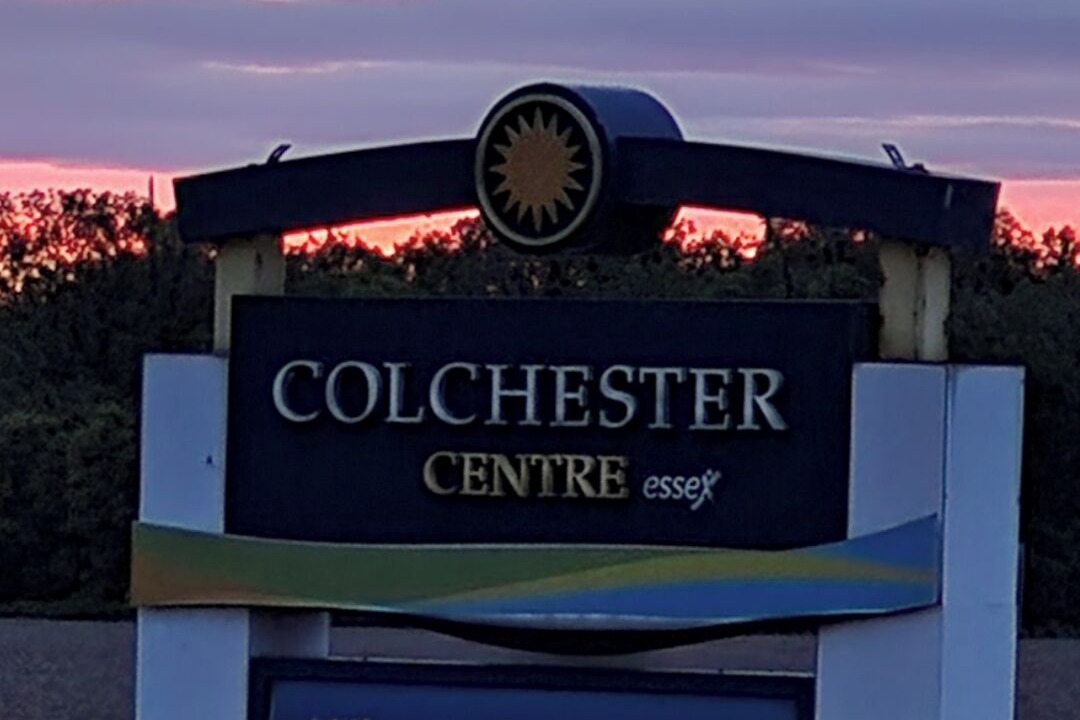Photo of Others in Colchester