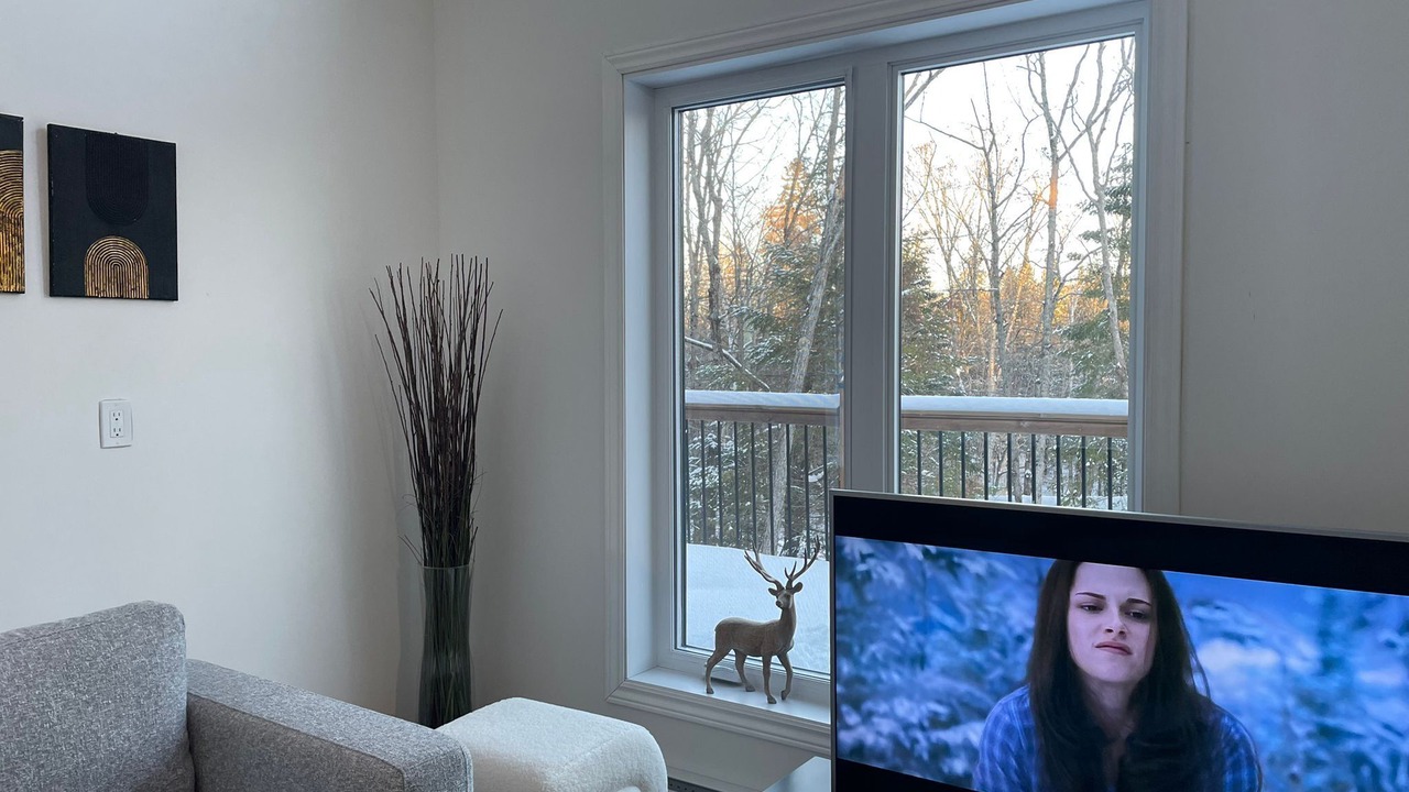 Photo of Livingroom in Entrelacs