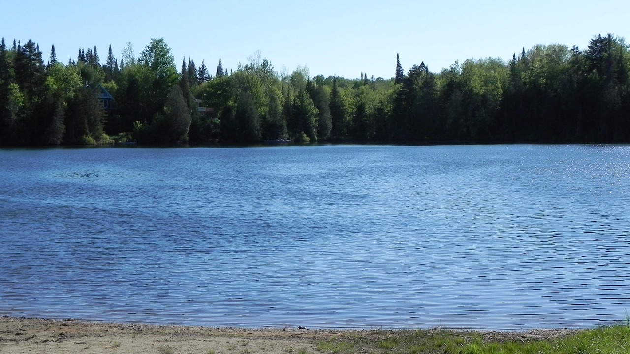 Photo of Others in Sainte-Marguerite-du-Lac-Masson