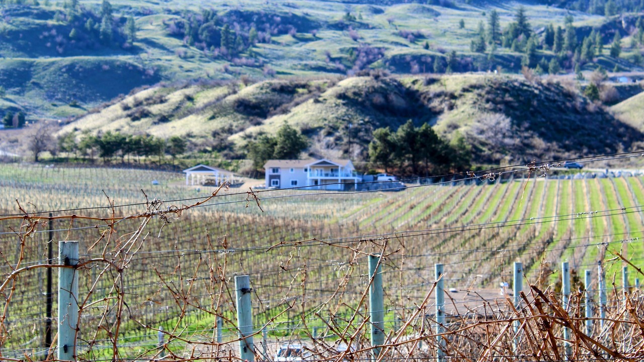 Photo of Others in Okanagan-Similkameen
