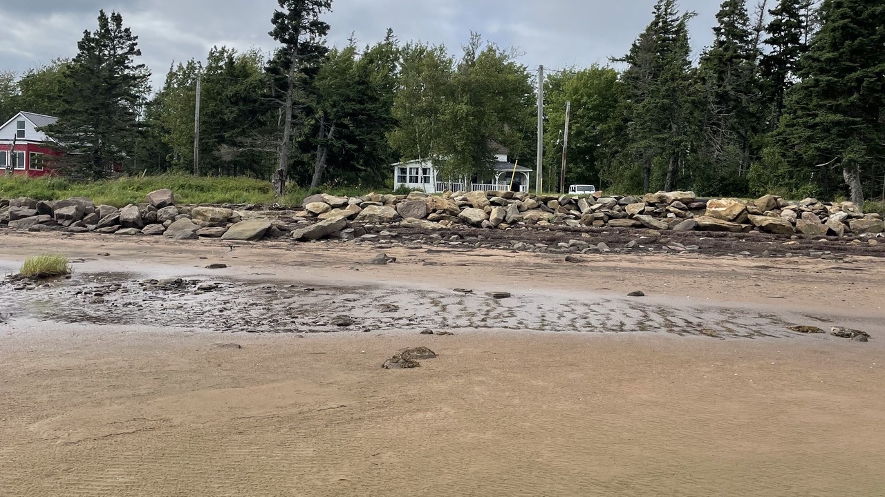 Photo of Others in Port Elgin