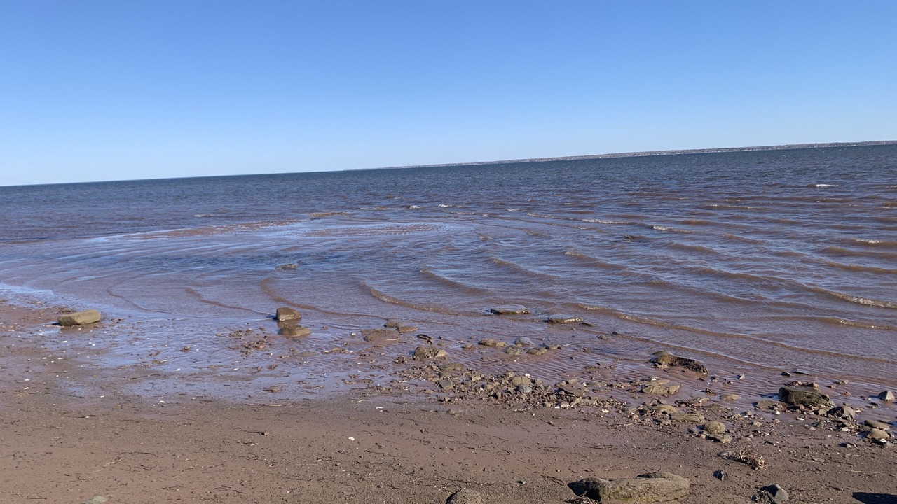 Photo of Others in Port Elgin
