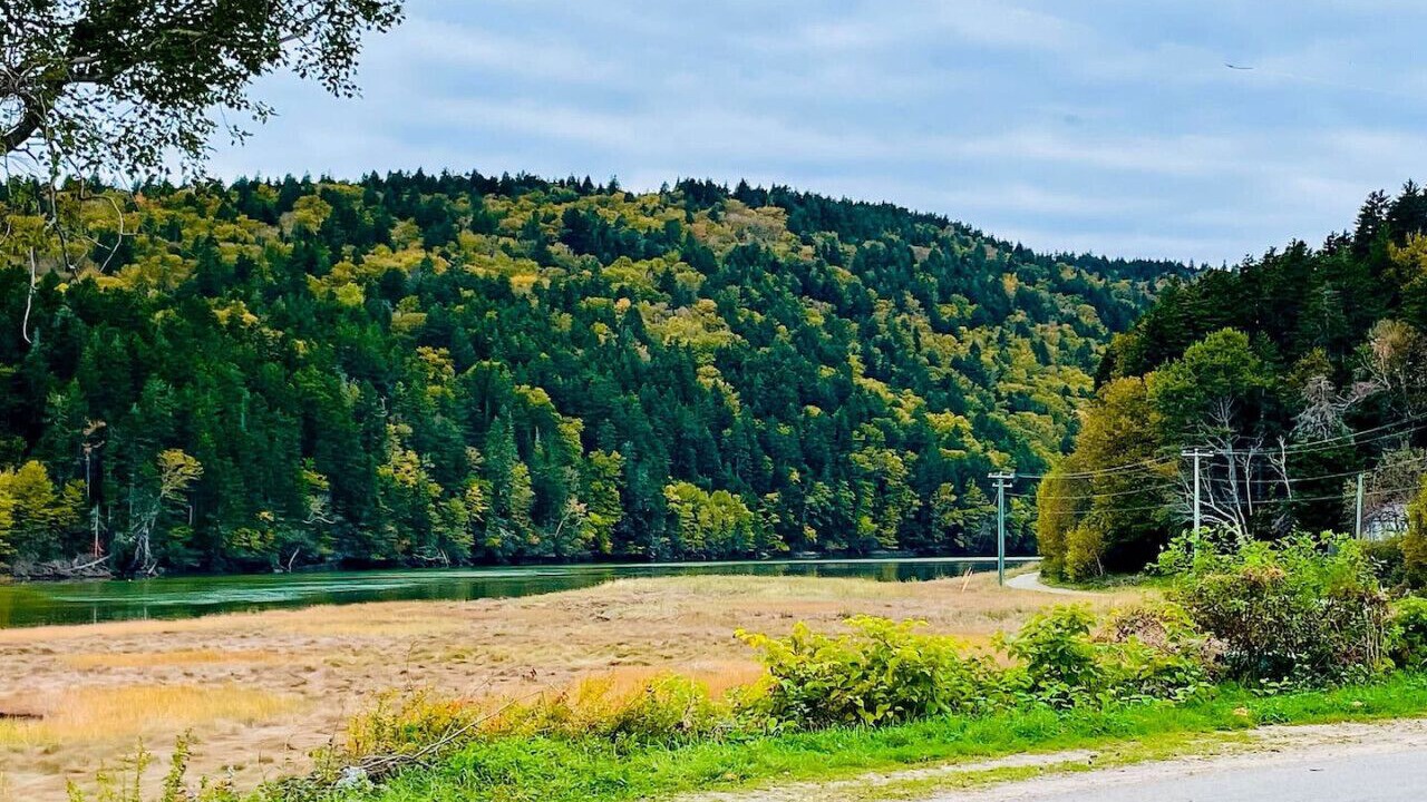 Photo of Outdoor in Alma