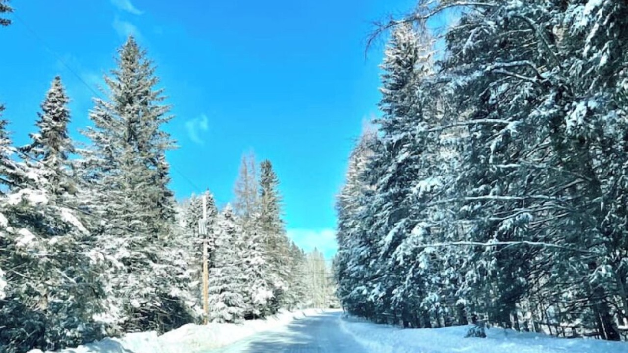 Photo of Others in Sainte-Marguerite-du-Lac-Masson
