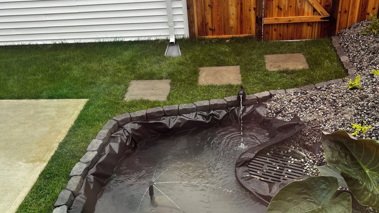 Photo of Outdoor in Willoughby