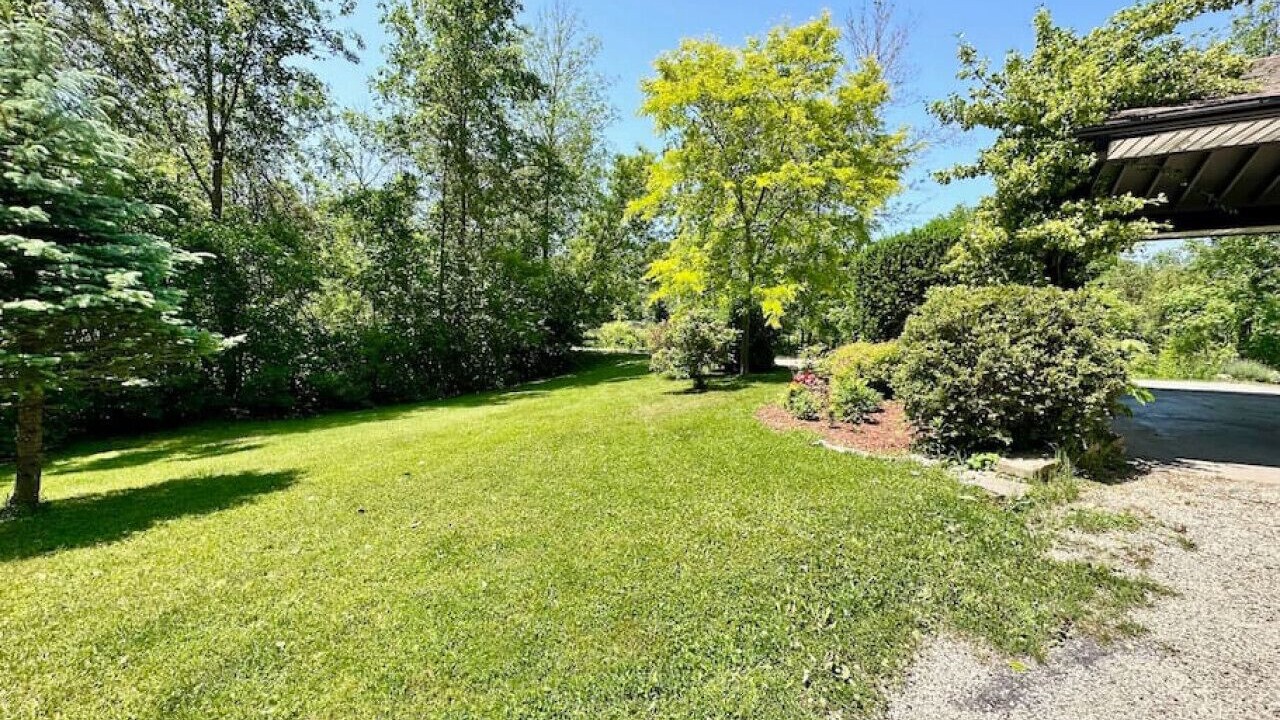Photo of Outdoor in Meaford