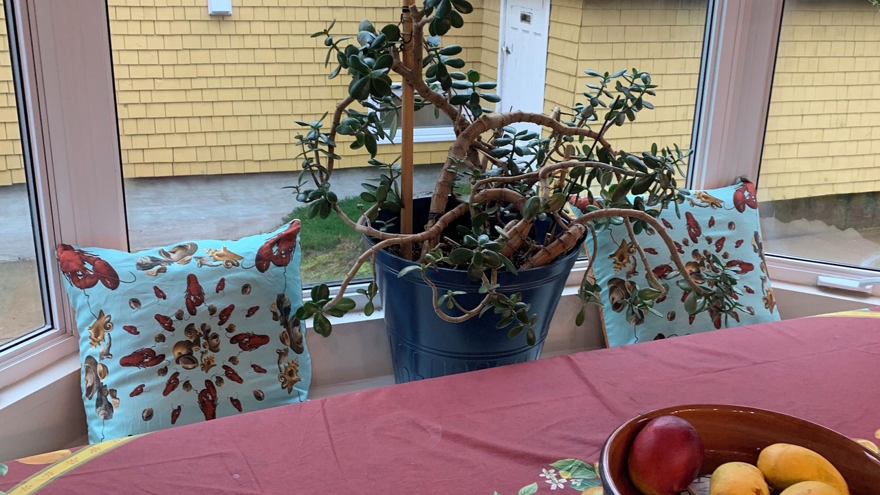 Photo of Outdoor in North End