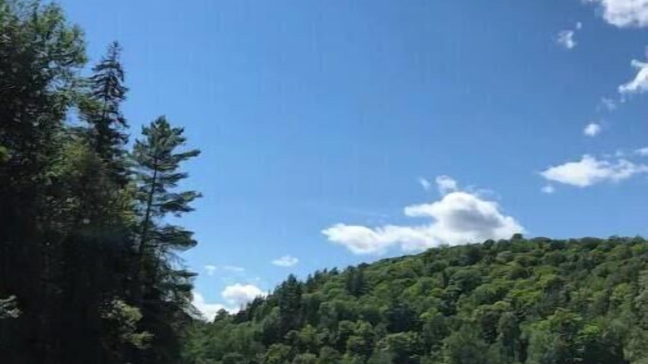 Photo of Others in Hastings Highlands