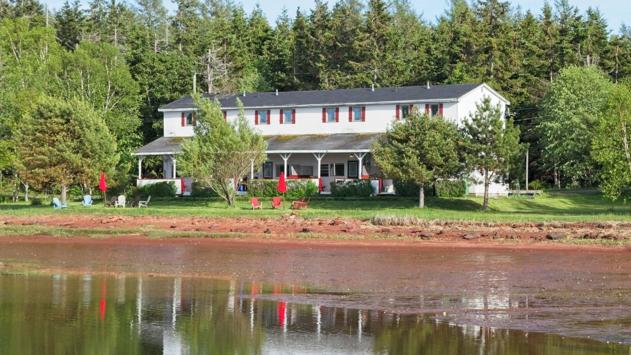 Photo of Outdoor in Cardigan