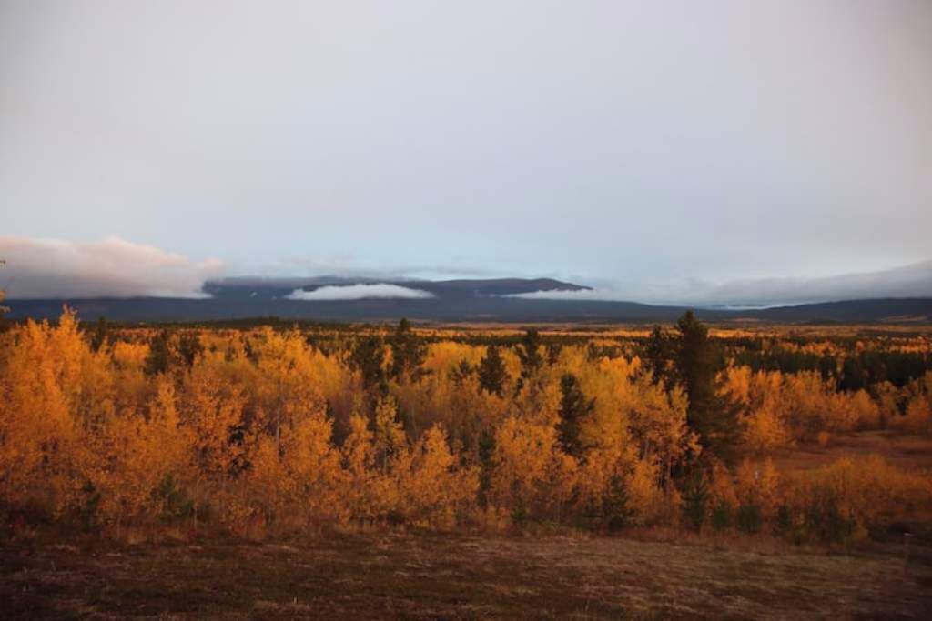 Photo of Others in Whitehorse
