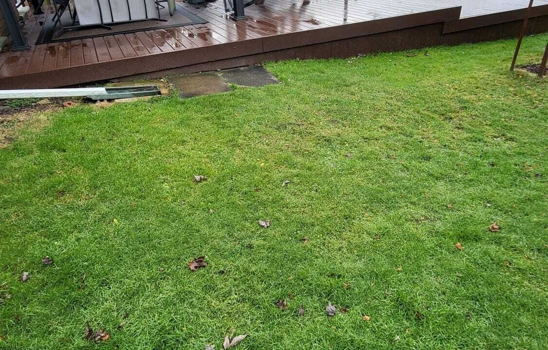 Photo of Outdoor in Welland
