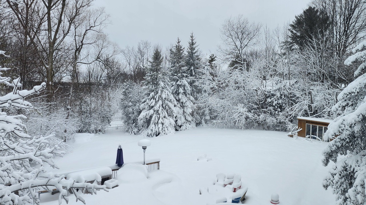 Photo of Others in Whitchurch-Stouffville