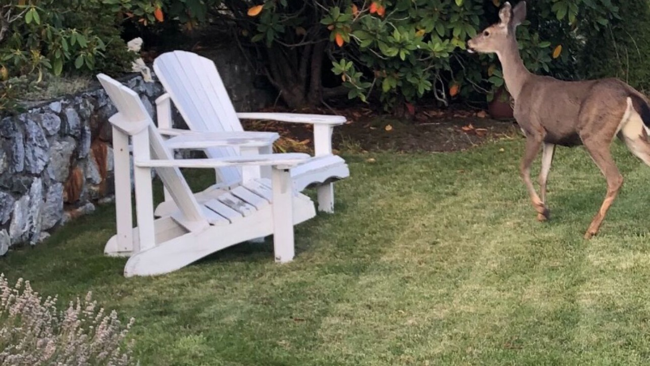 Photo of Outdoor in Langford