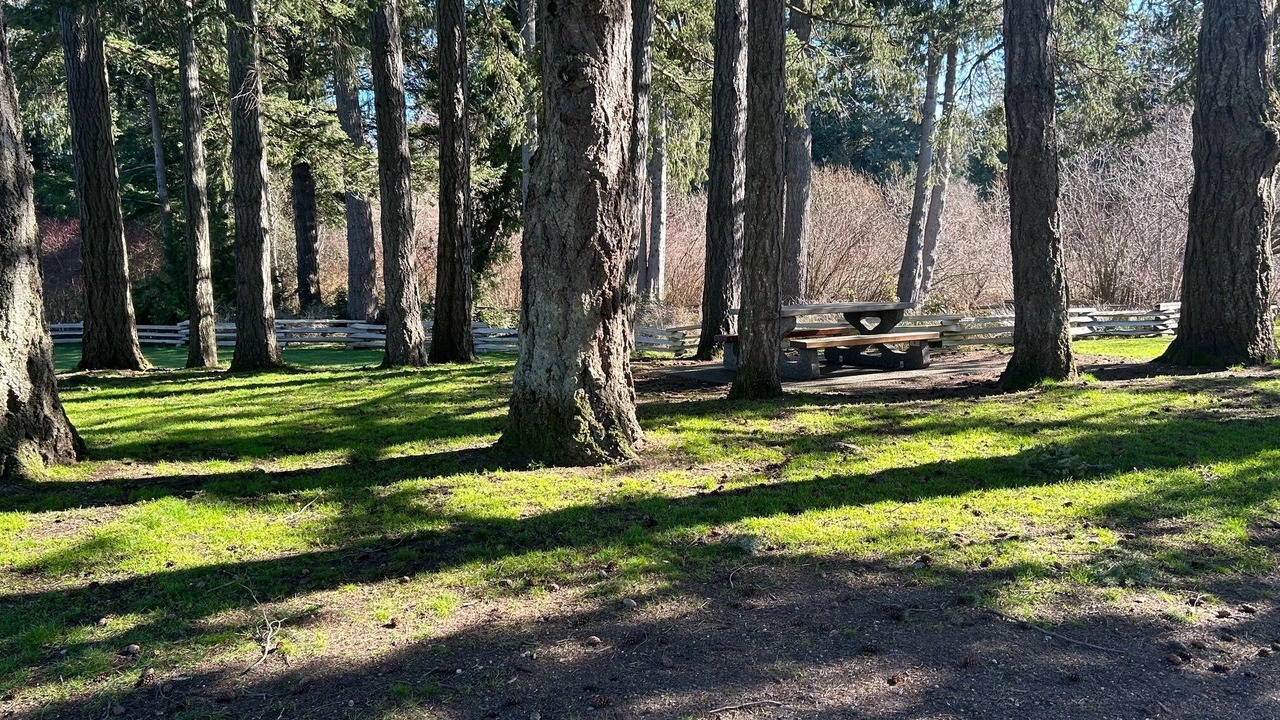 Photo of Others in Langford