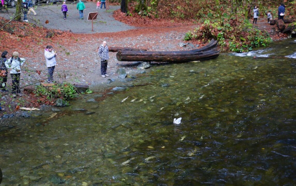 Photo of Outdoor in Langford