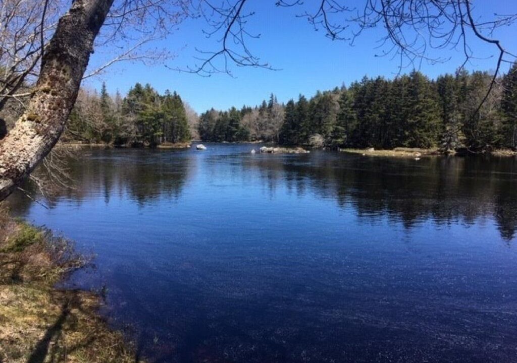 Photo of Others in Yarmouth County