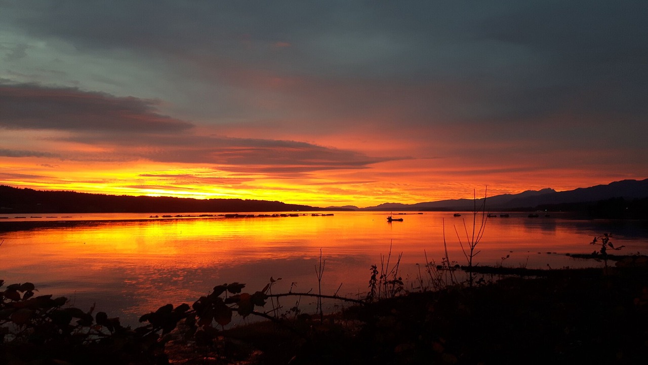 Photo of Outdoor in Union Bay