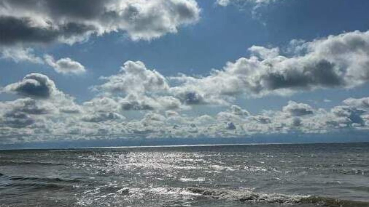 Photo of Others in Selkirk