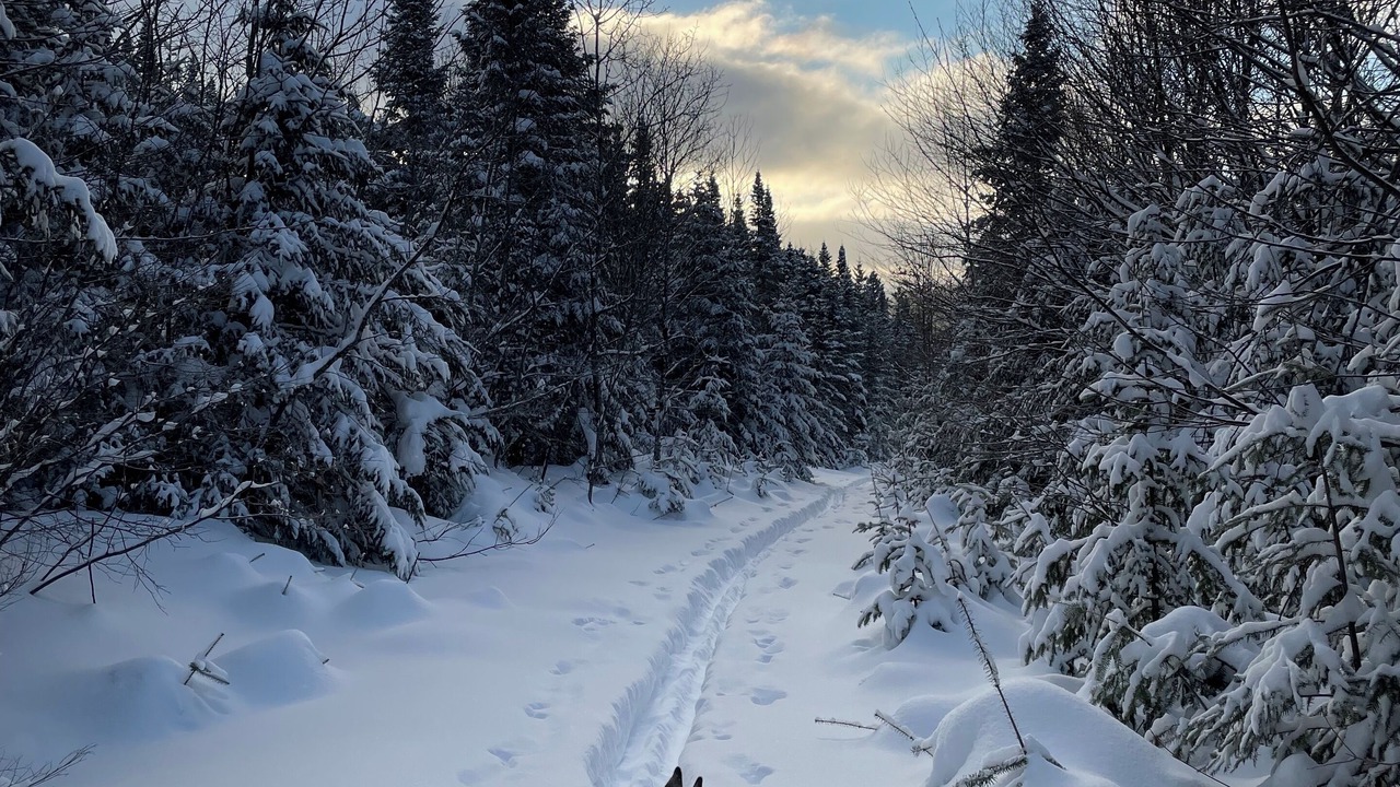 Photo of Others in Saint Donat