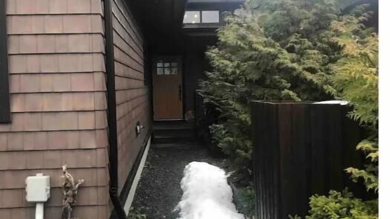 Photo of Outdoor in Port Renfrew