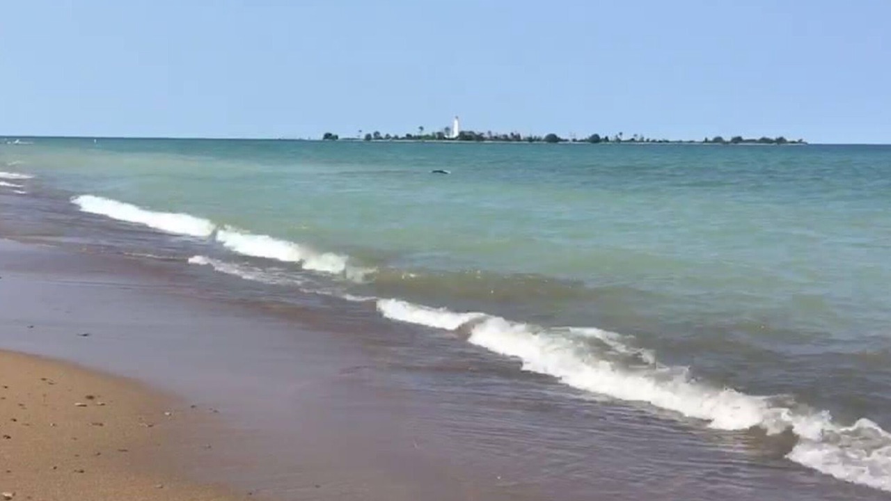 Photo of Others in Saugeen Shores