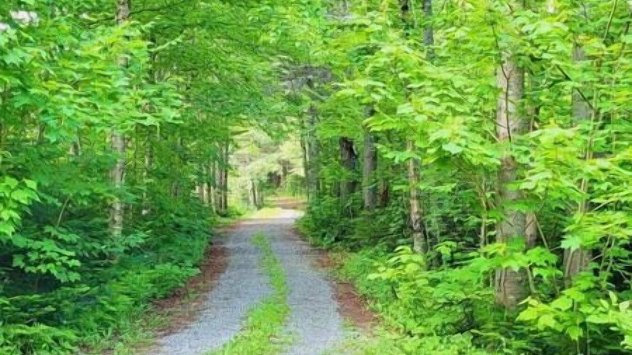 Photo of Outdoor in Chateau-Richer