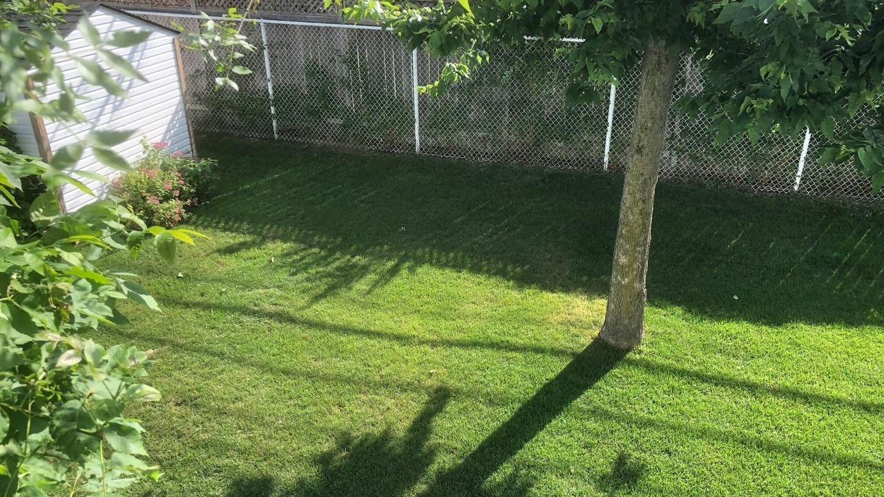 Photo of Outdoor in Sainte-Anne-de-Bellevue