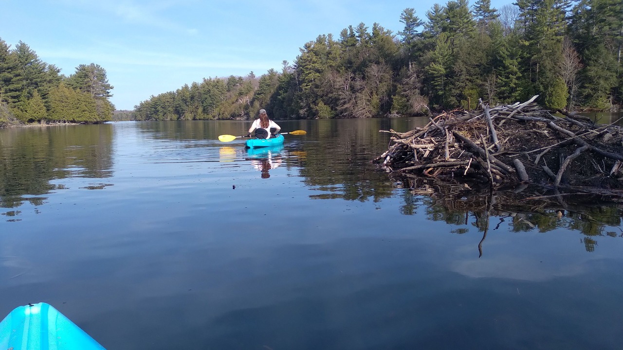 Photo of Others in Rideau Lakes