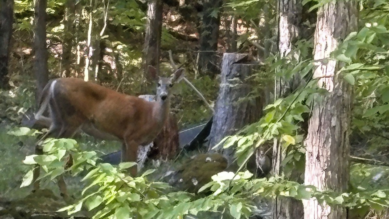 Photo of Others in Rideau Lakes
