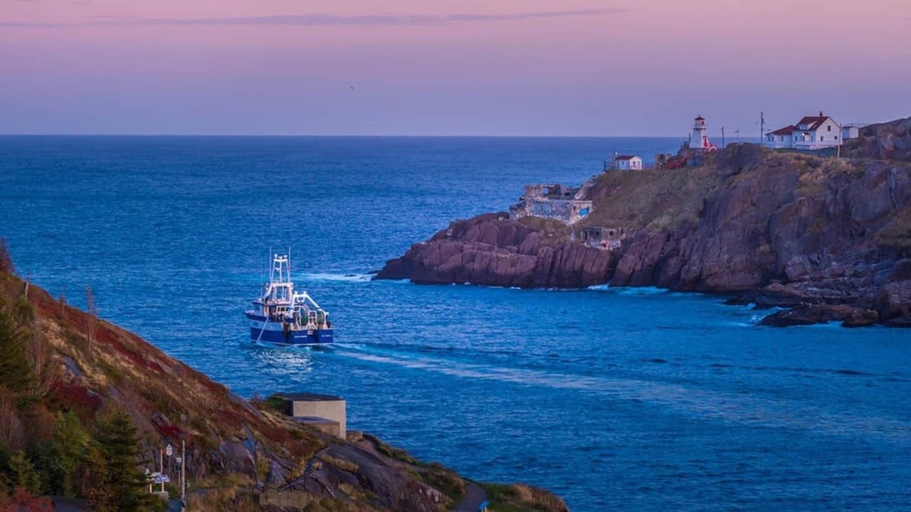 Photo of Others in Downtown St. John's