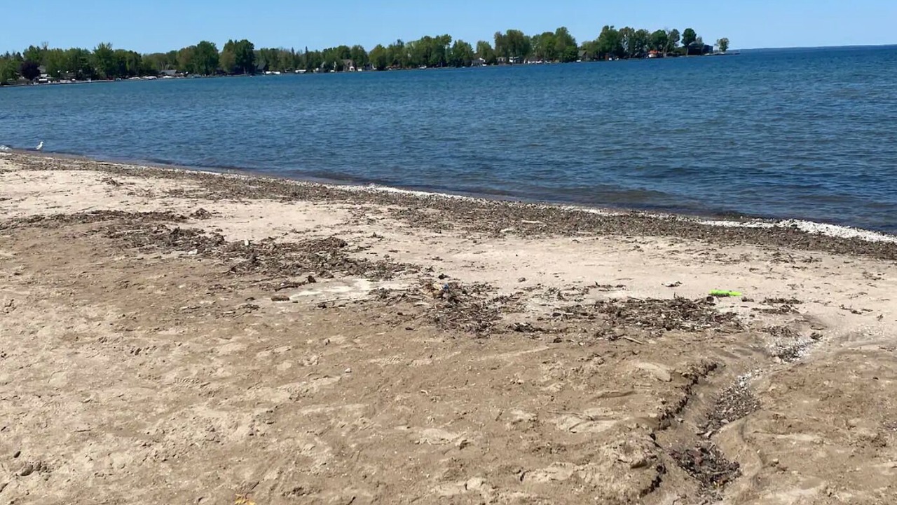 Photo of Others in Alcona