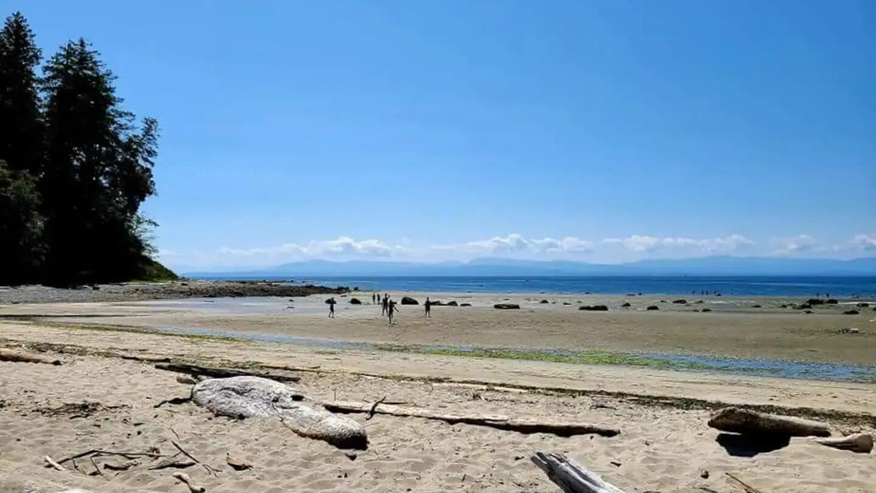 Photo of Others in Halfmoon Bay