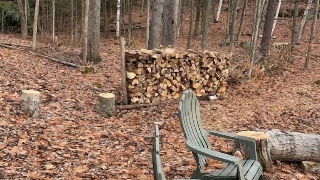 Photo of Outdoor in Algonquin Highlands