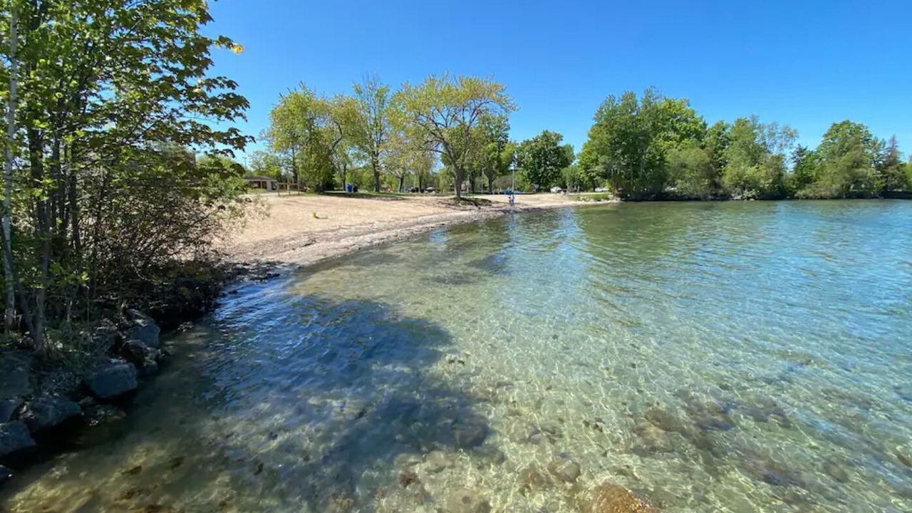 Photo of Others in Alcona