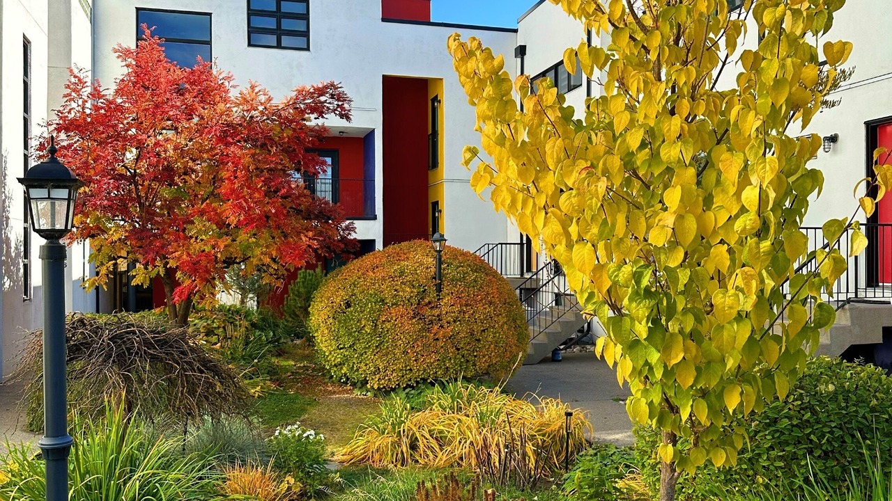 Photo of Outdoor in Connaught