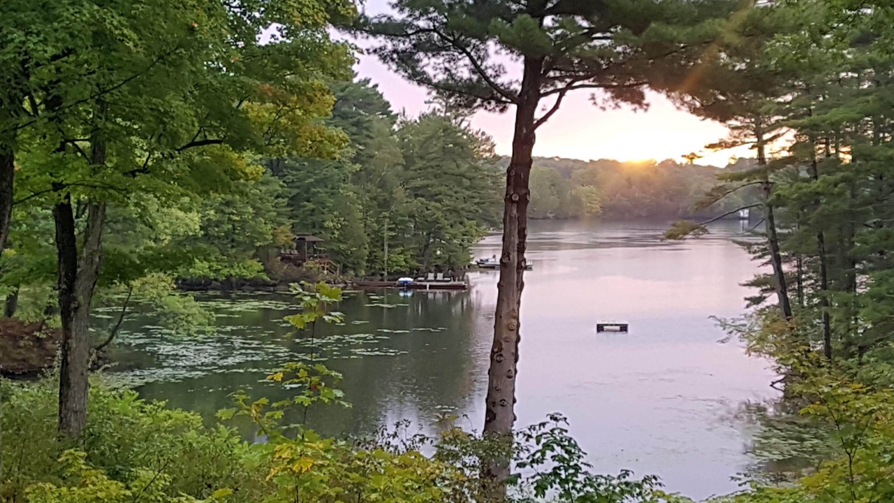 Photo of Others in Frontenac
