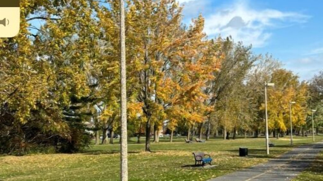 Photo of Others in LaSalle