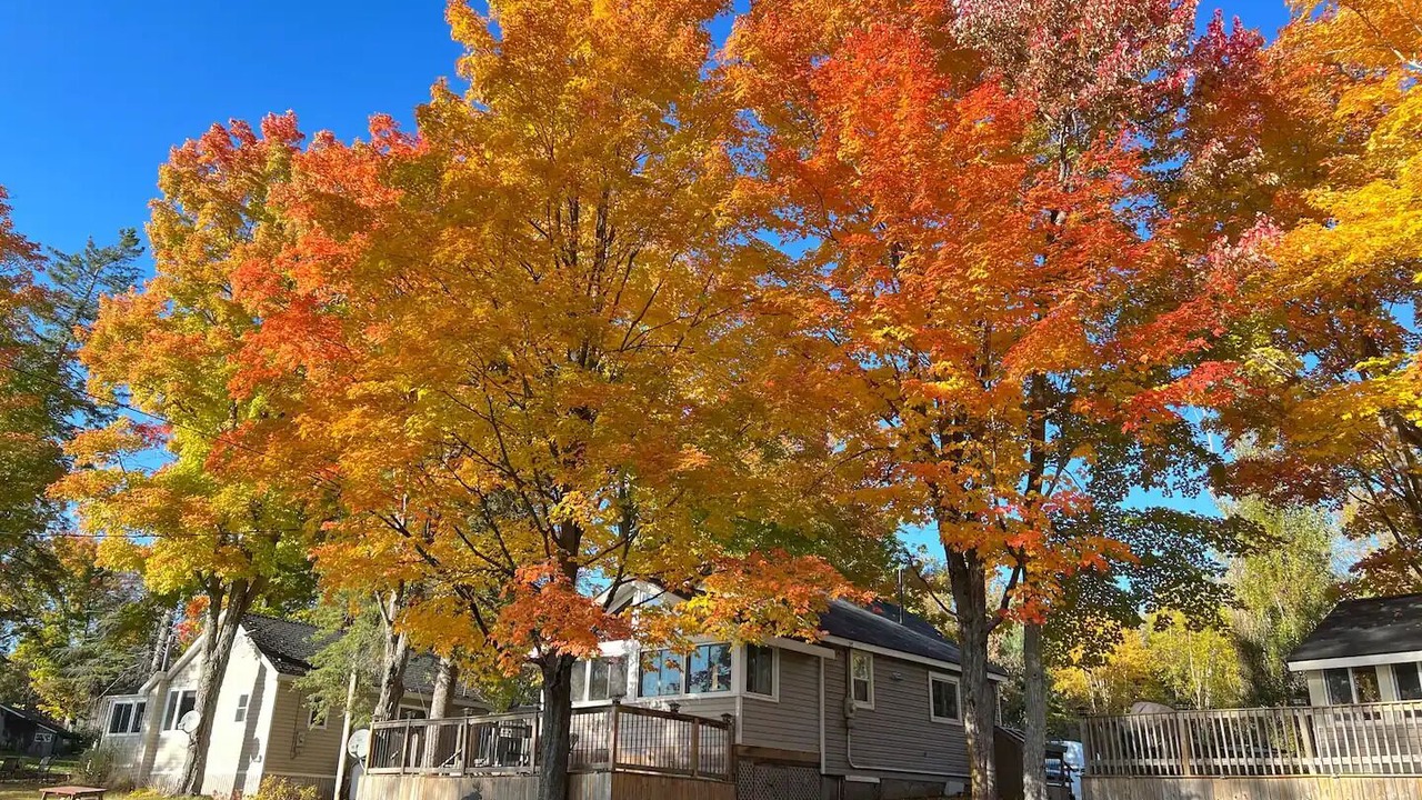 Photo of Outdoor in Muskoka Lakes