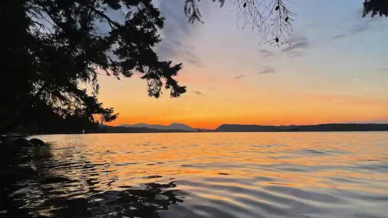 Photo of Others in Chemainus