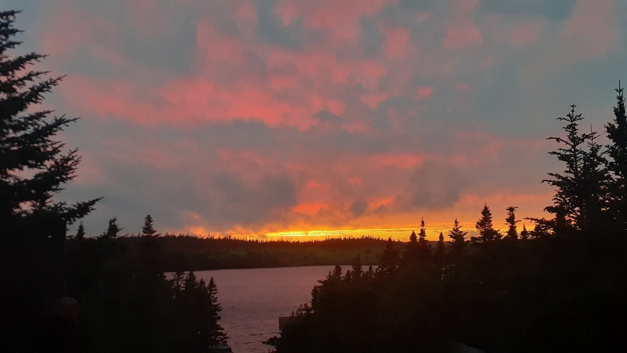 Photo of Others in Terra Nova